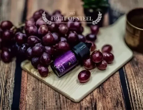 FRUIT-OF-STELL-鋼鐵果系列